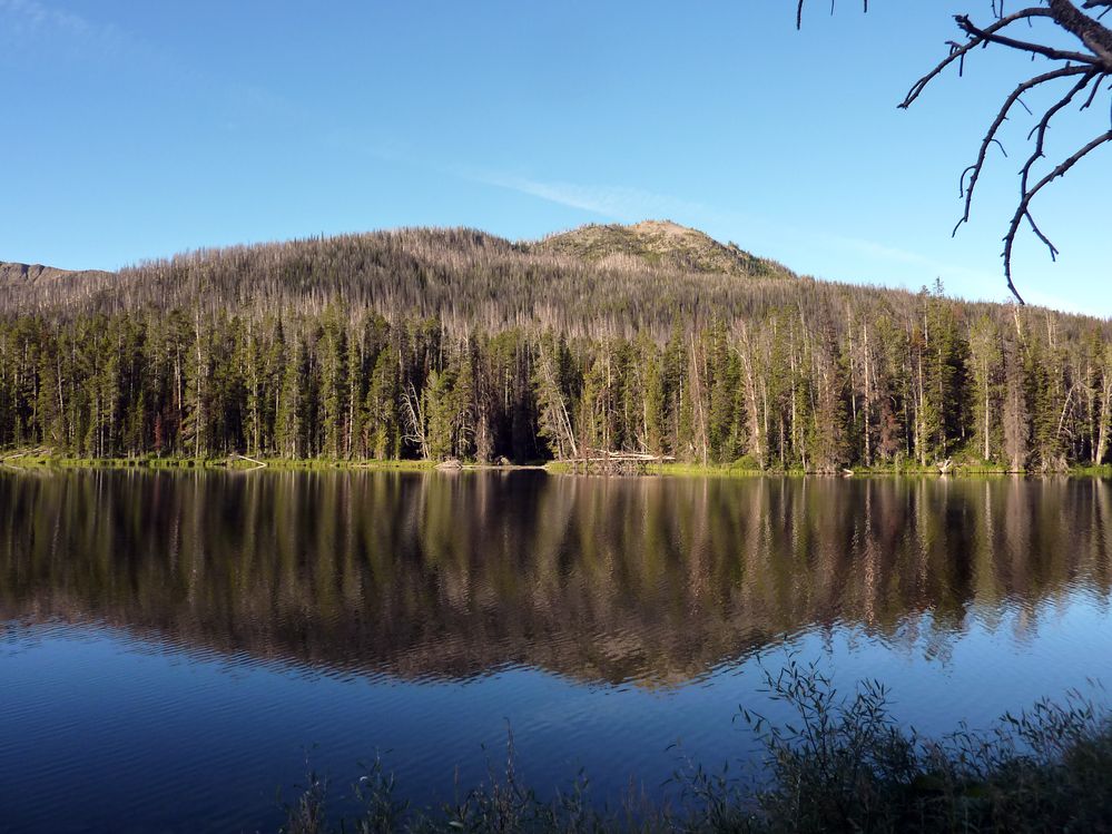 Yellowstone (2).JPG